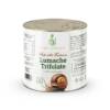 Lumache trifolate