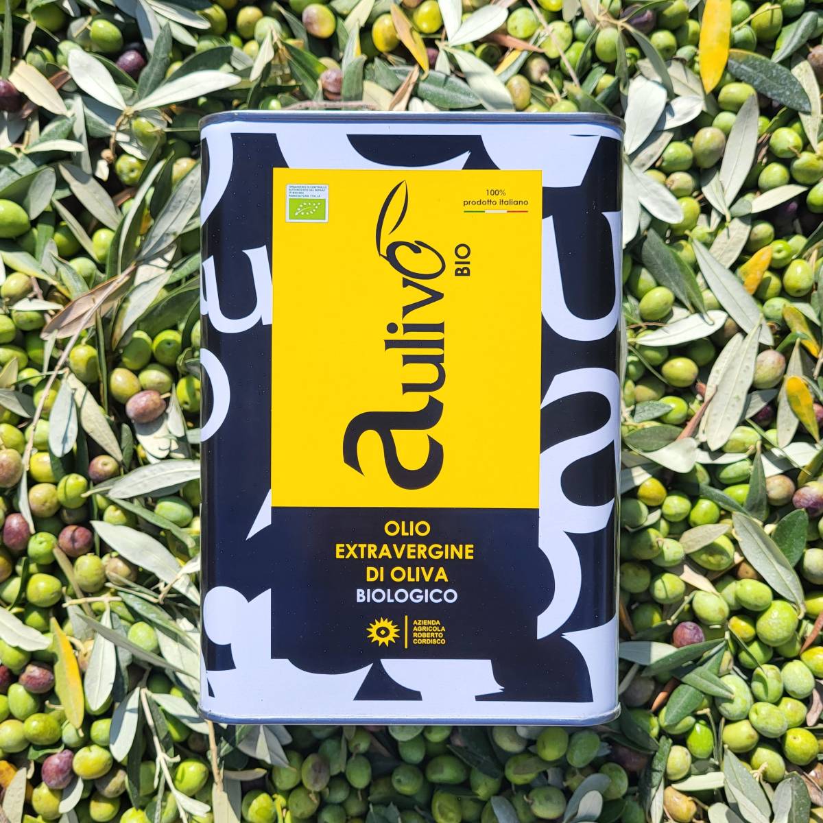 Olio Evo BIO 100% italiano prodotto in Puglia (Lattina da 3 L) 1 Olio Evo BIO 100% italiano prodotto in Puglia (Lattina da 3 L)