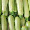 Zucchine
